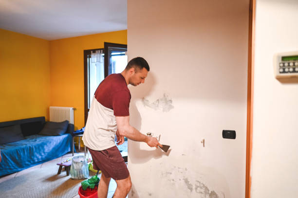 Best Local Mold Removal Service  in St Martinville, LA